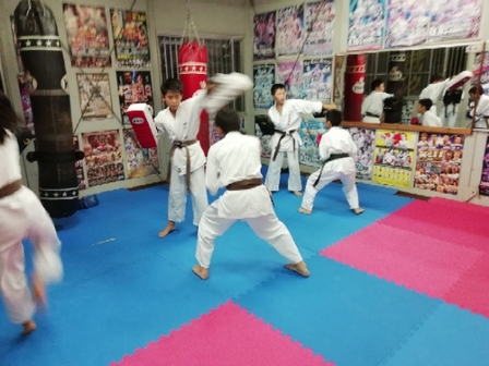 20181003224358419.jpg